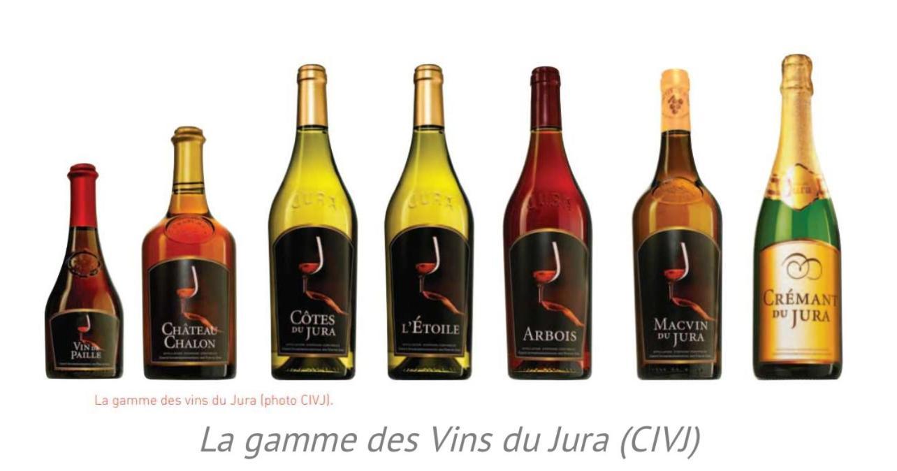 Willa La Champagnolaise Champagnole Zewnętrze zdjęcie